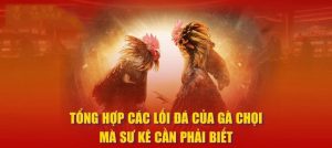Các Lối Đá Của Gà Chọi