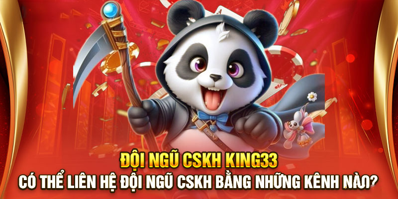 Có thể liên hệ đội ngũ CSKH bằng những kênh nào?
